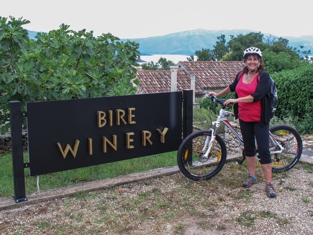Cycling & Wine Tasting Tour in Lumbarda