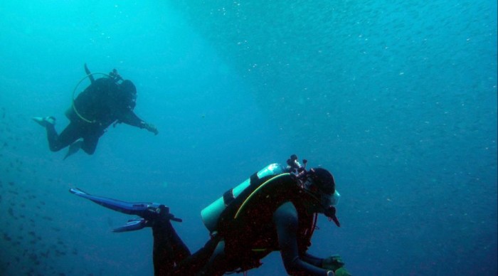 Diving in Moalboal and Pescador Island (3 dives)