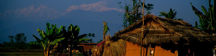 Arrival in Chitwan National Park 