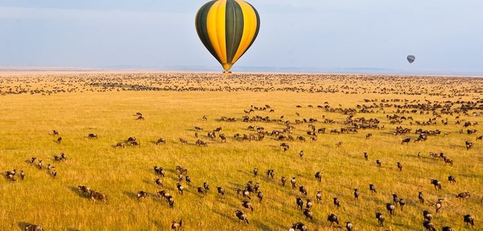 Hot-air Balloon Safari above the Mara