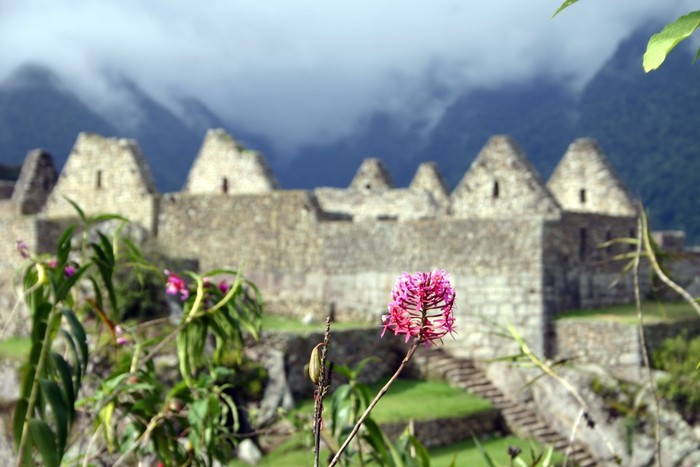 Explore Machu Picchu (Private guided tour in Machu Picchu)