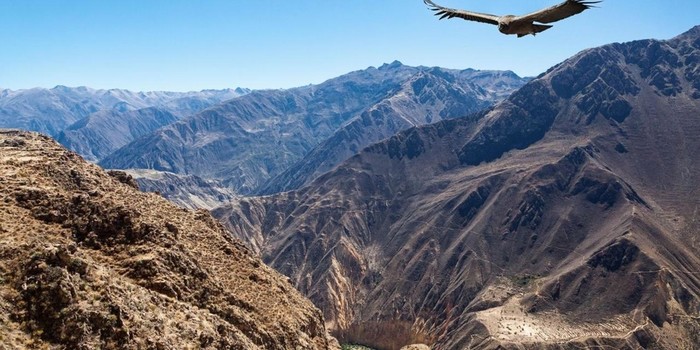Private 02-Days Colca Canyon Tour 2/2
