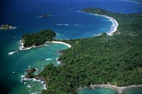 Private: Manuel Antonio Park Guided Hike