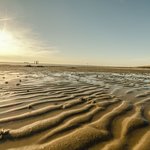 Rippling sand dunes on the Wadden Islands