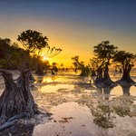 Sunset over Sumba's Walakiri Beach
