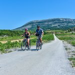 Cycling on the Pelješac Peninsula