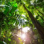 Discover the incredible biodiversity in Colombia