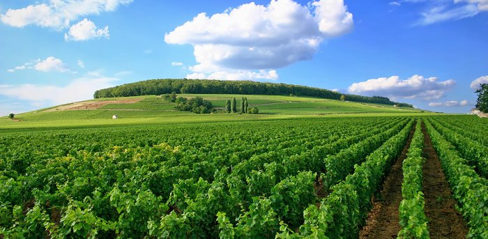 Côte de Nuits