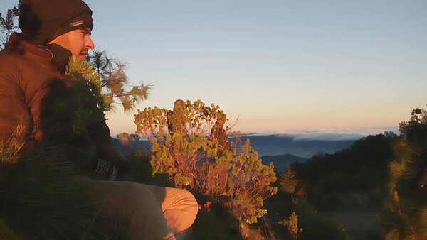 Travel specialist Alex Coronado
