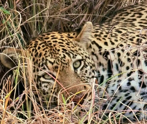 Profile photo for Danielle V