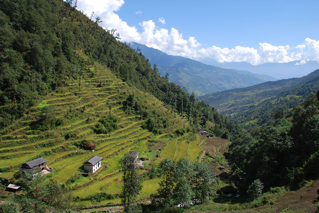 Kalinchowk Temple Trek