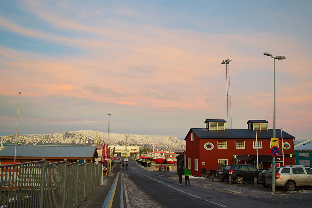 Reykjavik in January